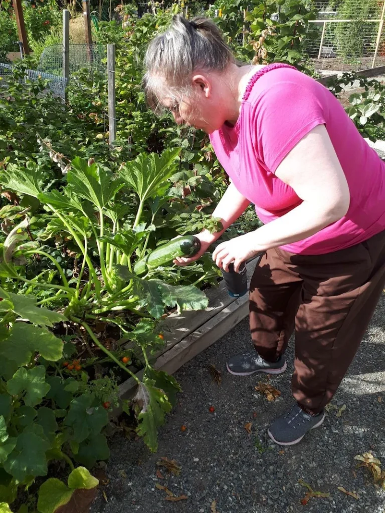 BL at community gardens